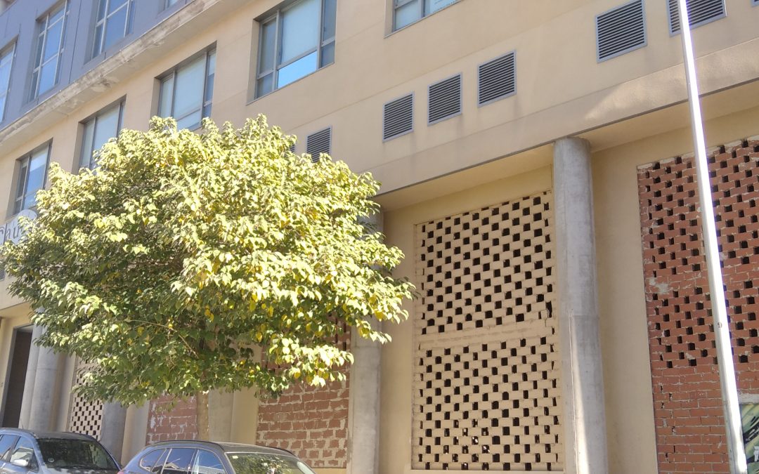 Alquiler Local Comercial en Madrid 487 m2 con Parking
