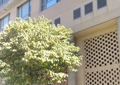 Local comercial en alquiler en Madrid de 487 m2